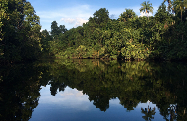 Botum Sakor National Park View